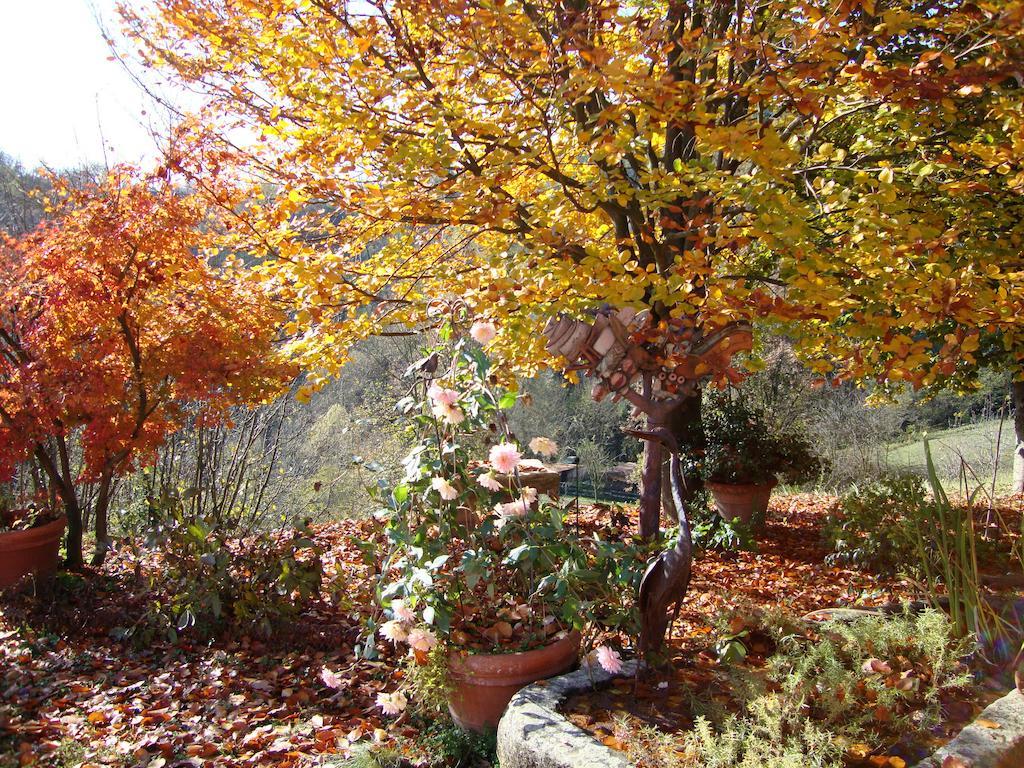 Cascina Nel Bosco Moncucco Torinese Exterior foto