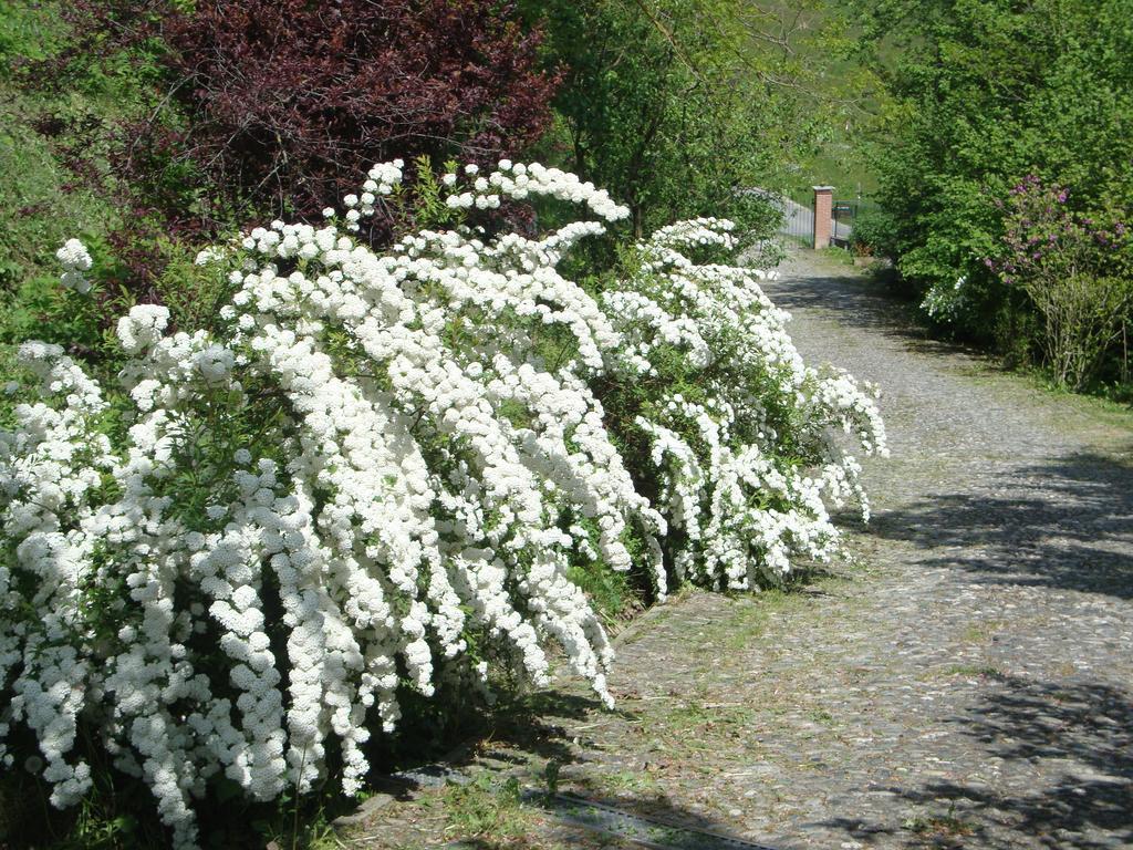Cascina Nel Bosco Moncucco Torinese Exterior foto